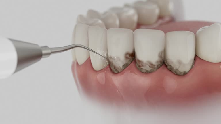 Reliable Dental contractor in Sparta, MO by Dentist Open Now